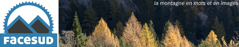 Bannière
